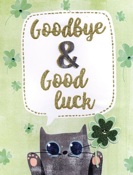 Goodbye & Good Luck Cat