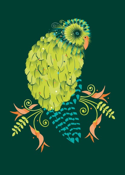 Birds Of A Feather: Kakapo