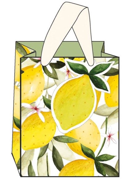 Gift Bag (Small): Oranges Lemons