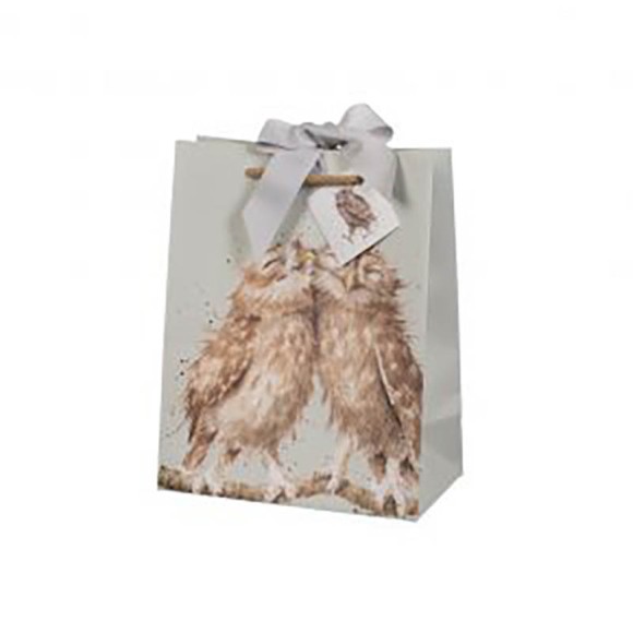 Gift Bag (Medium): Owl
