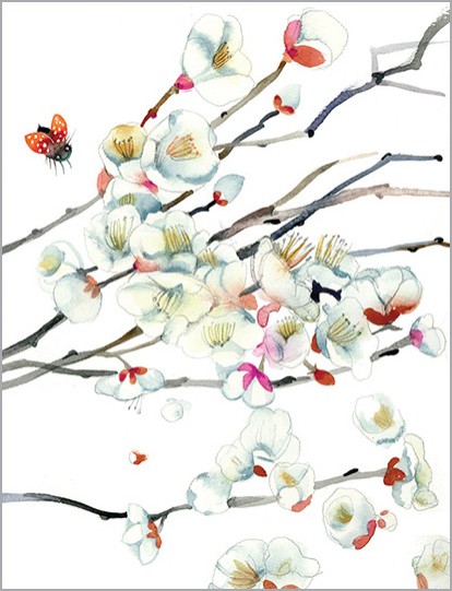 Ladybird And Branches