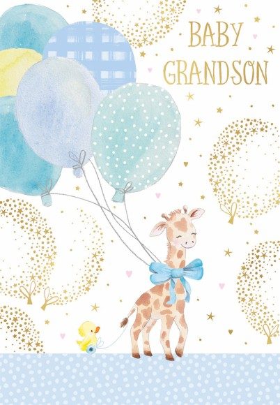 Baby Grandson Giraffe