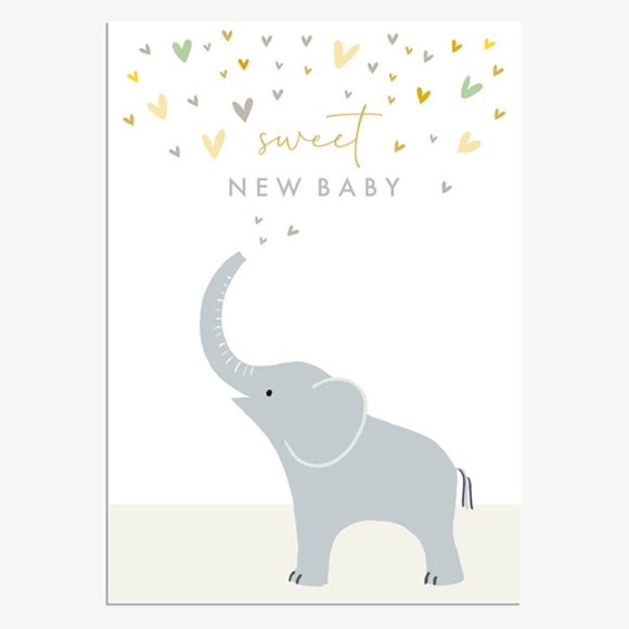 New Baby Elephant