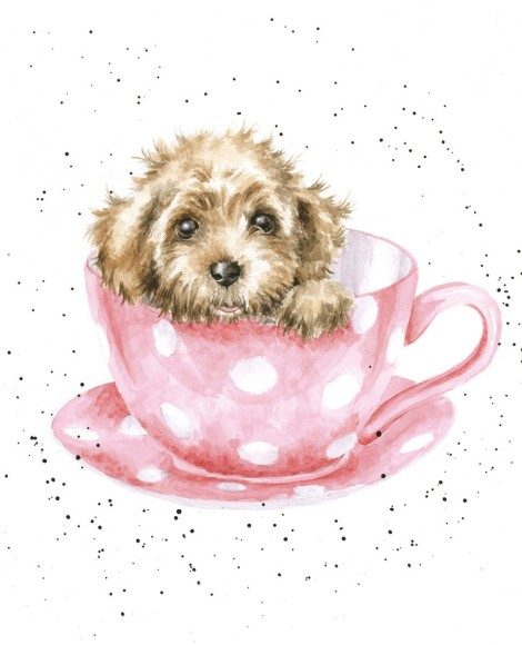 Teacup Pup
