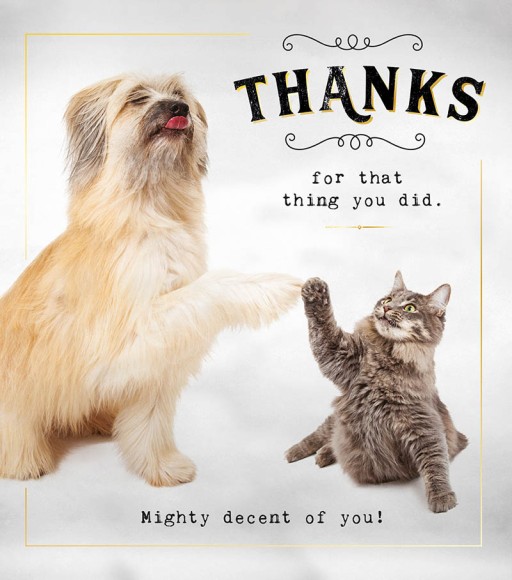 Thanks Dog Cat