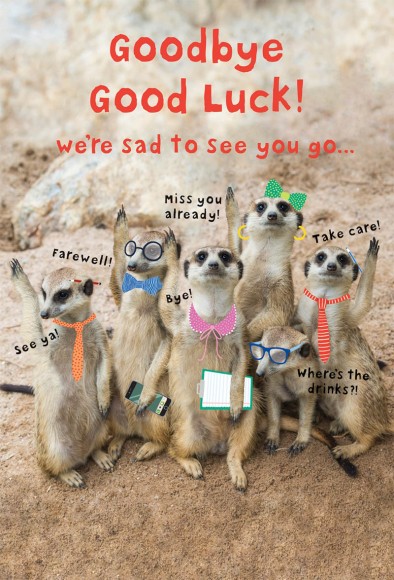 Goodbye Goodluck Meerkats