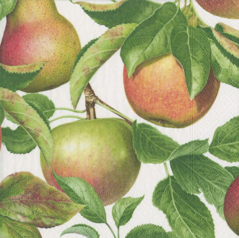 Napkin (Lunch): Apple Orchard