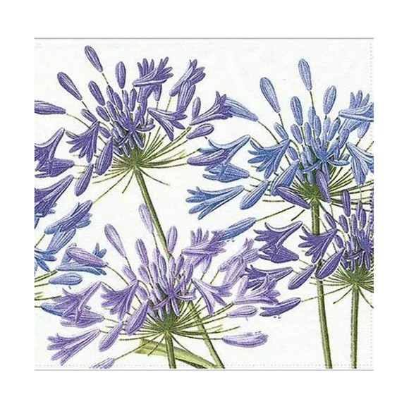 Napkin (Lunch): Agapanthus