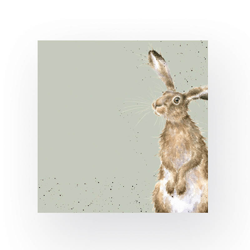 Napkin (Lunch): Hare