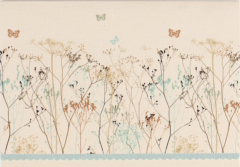 Notecards: Butterflies
