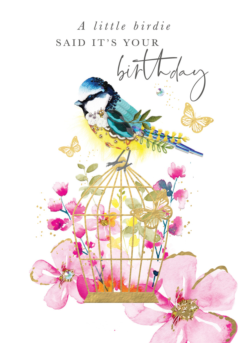 Birthday Bird Cage