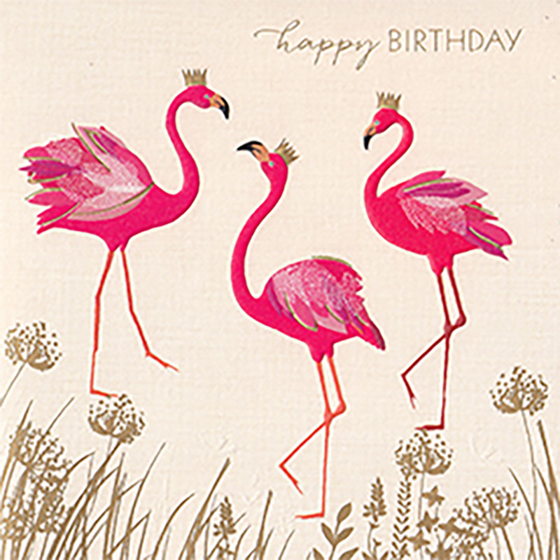 Birthday Flamingoes