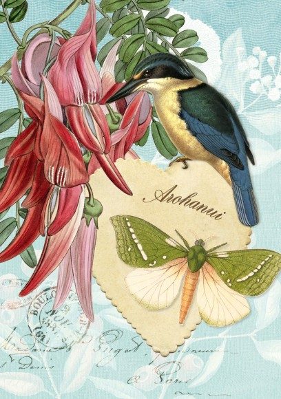Botany: Kingfisher & Kakabeak