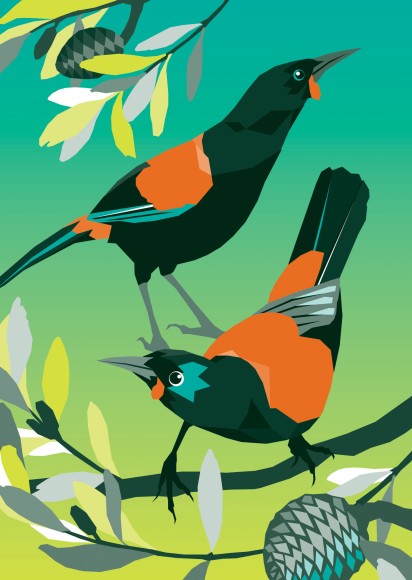 Birds Of A Feather: Saddleback
