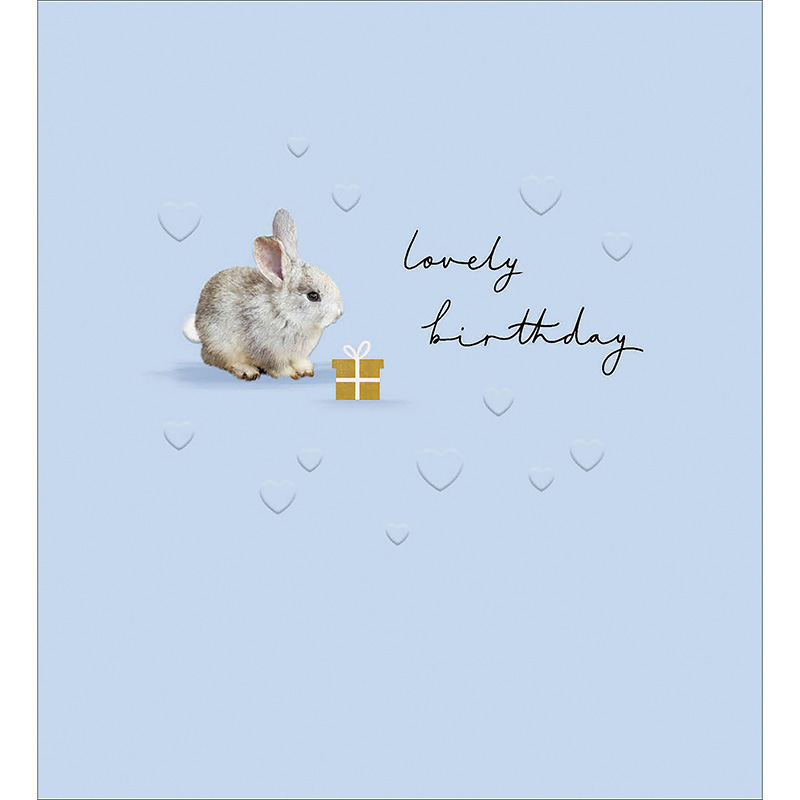 Proper Mail: Bunny