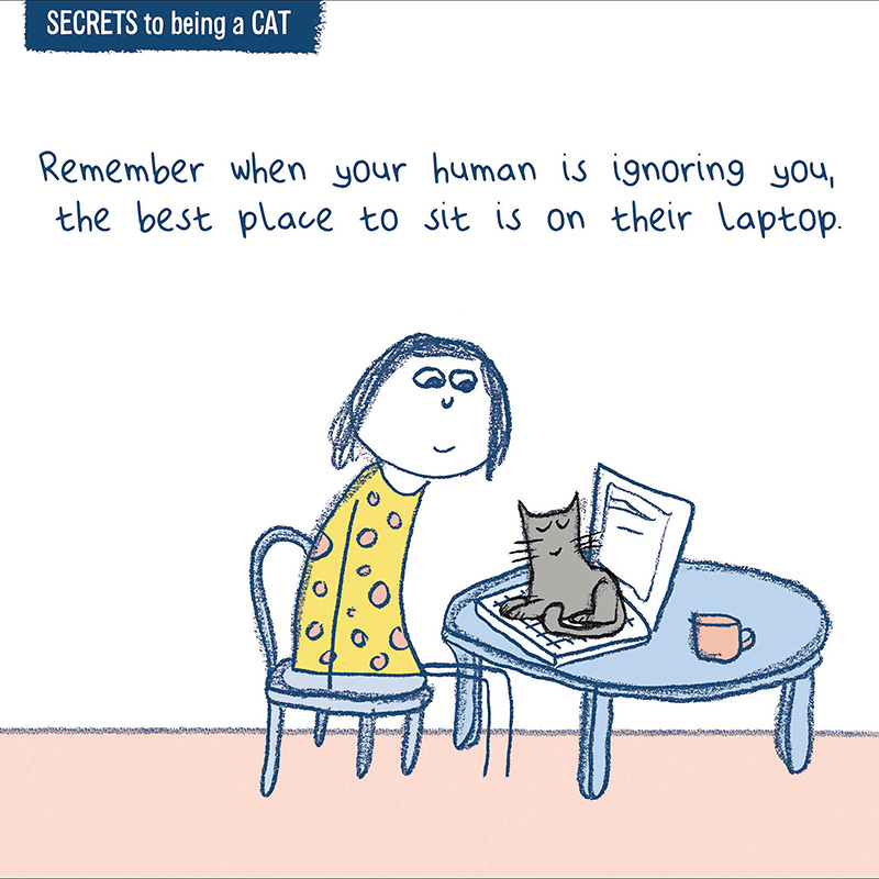 On The Laptop