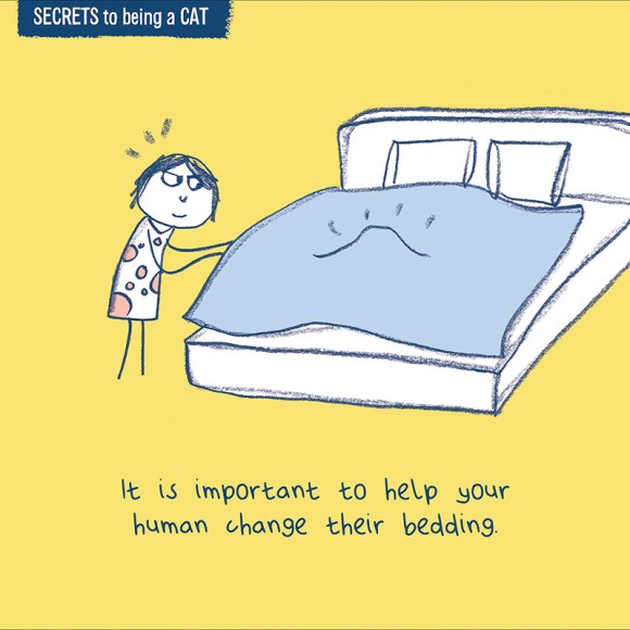 Make The Bed