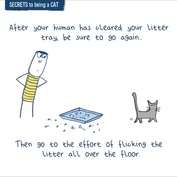 Clear The Litter