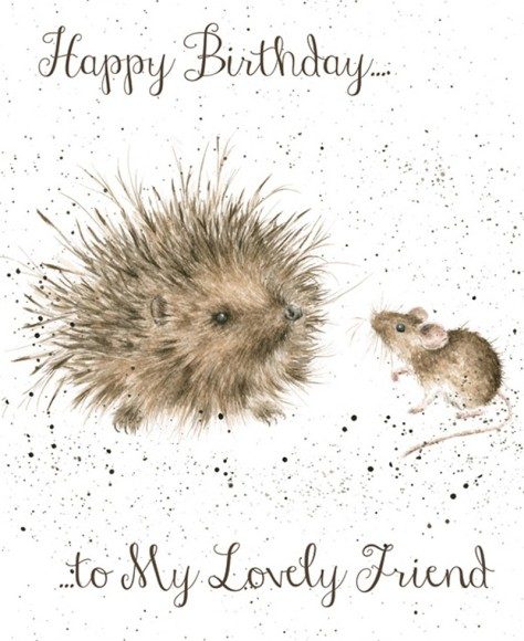 Birthday Lovely Friend