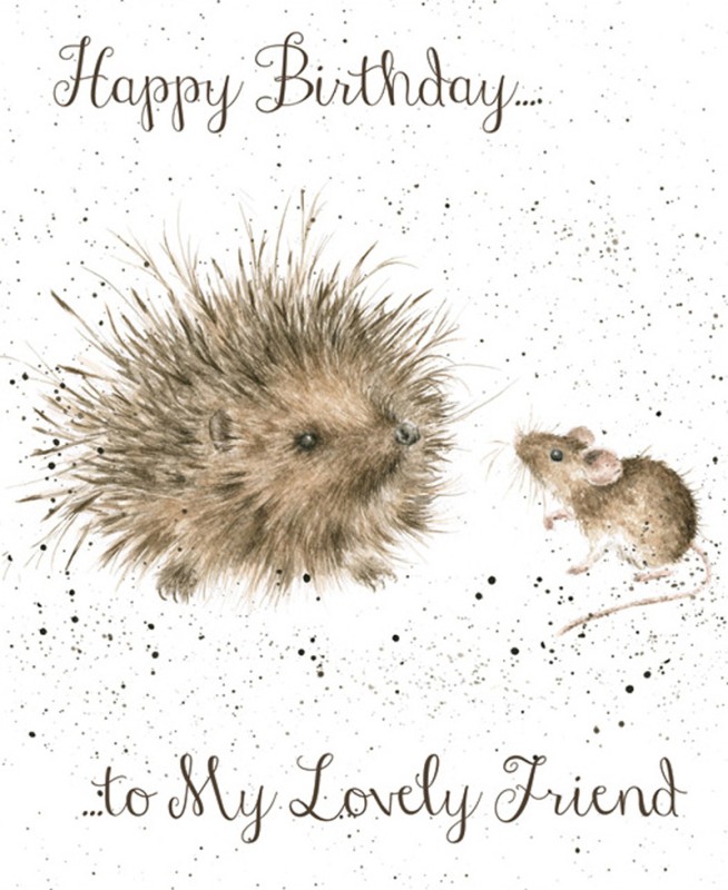 Birthday Lovely Friend