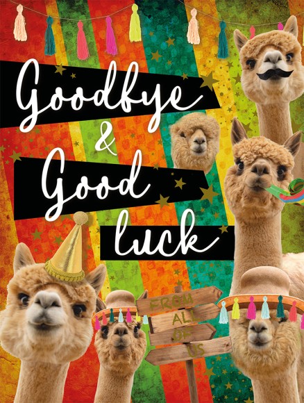 Jumbo: Goodbye & Good luck Llamas