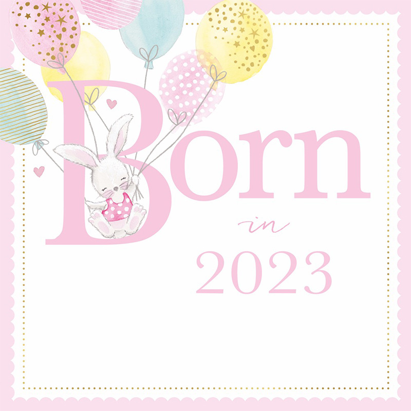 Baby Girl Born In 2023 Bunny