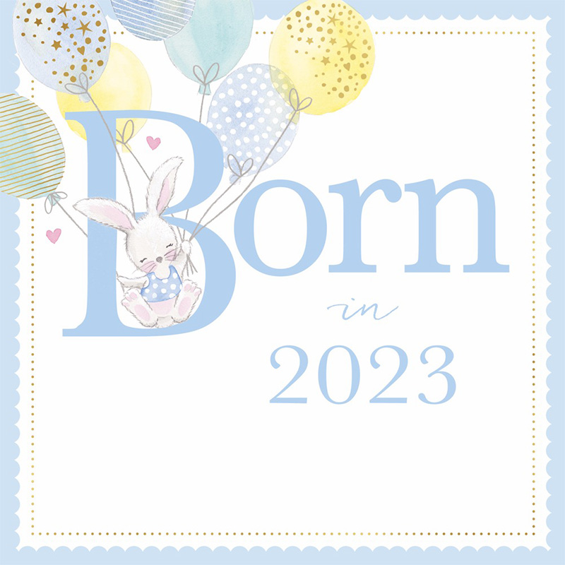 Baby Boy Born In 2023 Bunny