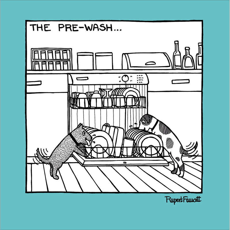 Off Leash: The Pre Wash
