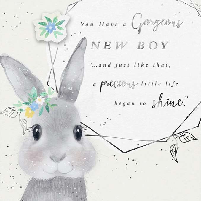 Dusky Evening: Baby Boy Bunny