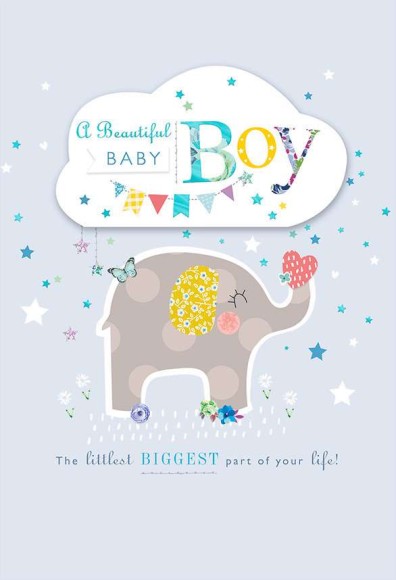 Bellissima: Baby Boy Elephant