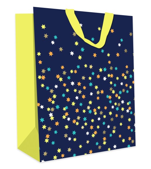 Gift Bag (Medium): Bright and Fun