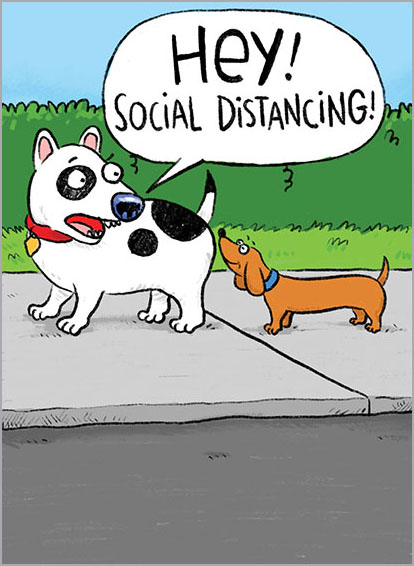 Social Distancing Dogs