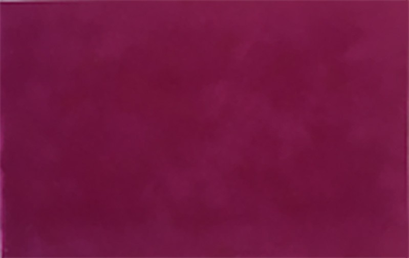 Photo Album:  Fuschia Suede