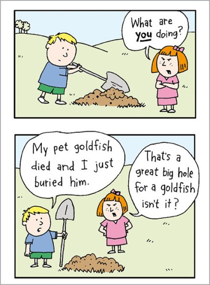 Pet Goldfish