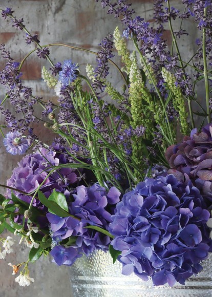 The Artists Garden: Purple Hydrangea Mix