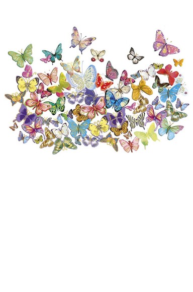 Icones Butterflies