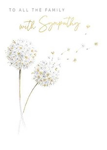 Reflections Sympathy All Fam