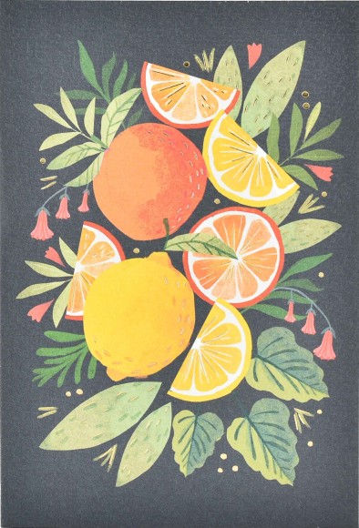 Studio: Fruit And Flowers