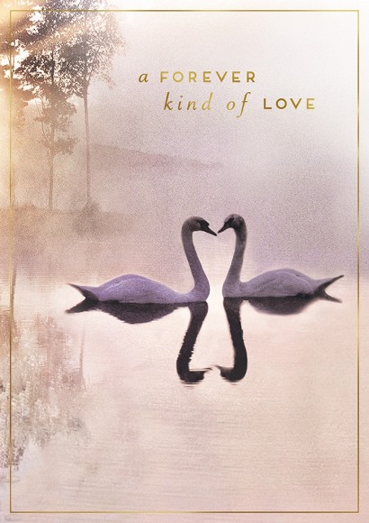 Love Unlimited Forever Kind