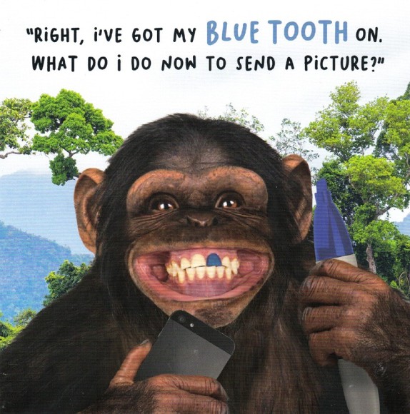 Virtual Safari Blue Tooth