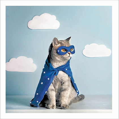 Cattitude Super Cat