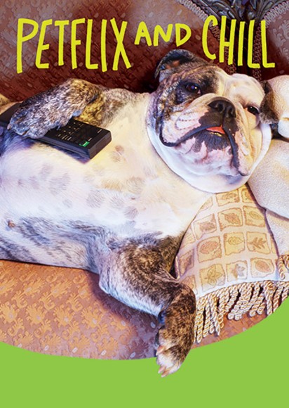 Spirit Petflix And Chill