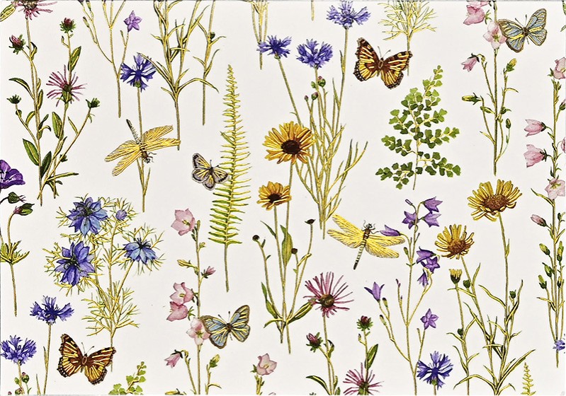 Notecards Wildflower Garden