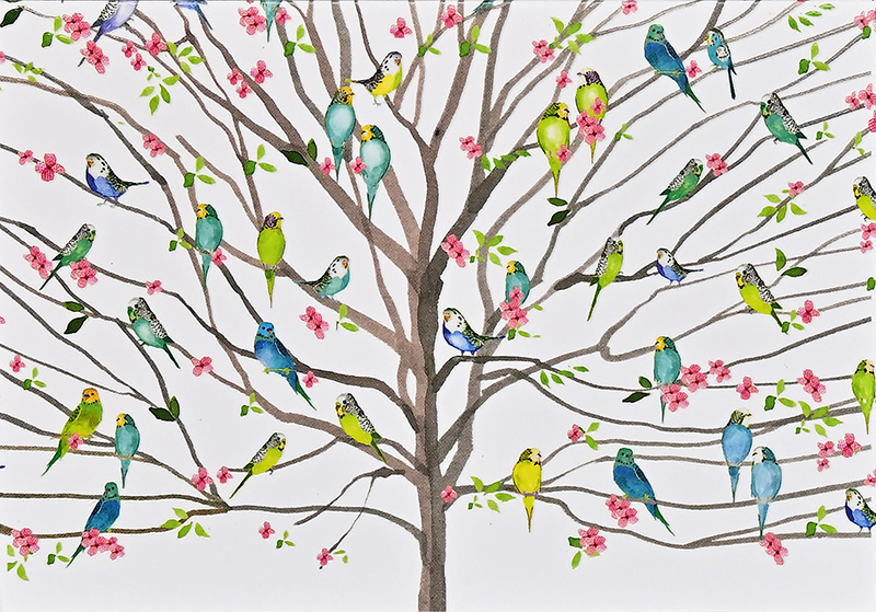 Notecards Tree Of Bdgies