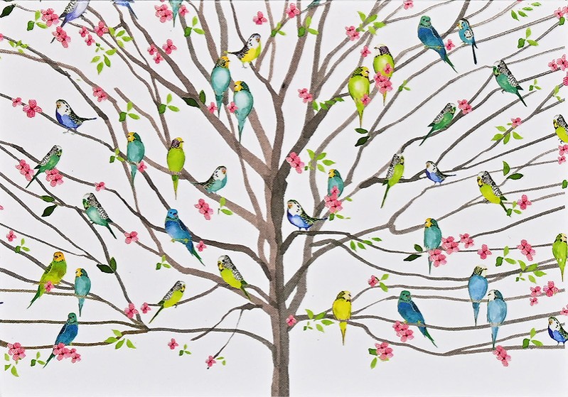Notecards Tree Of Bdgies