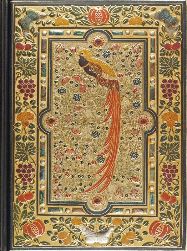 Bird Pardise