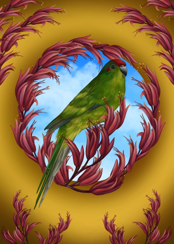 Anna Evans: Kakariki