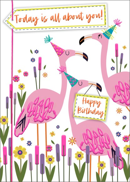 Colour Burst: Birthday Flamingoes