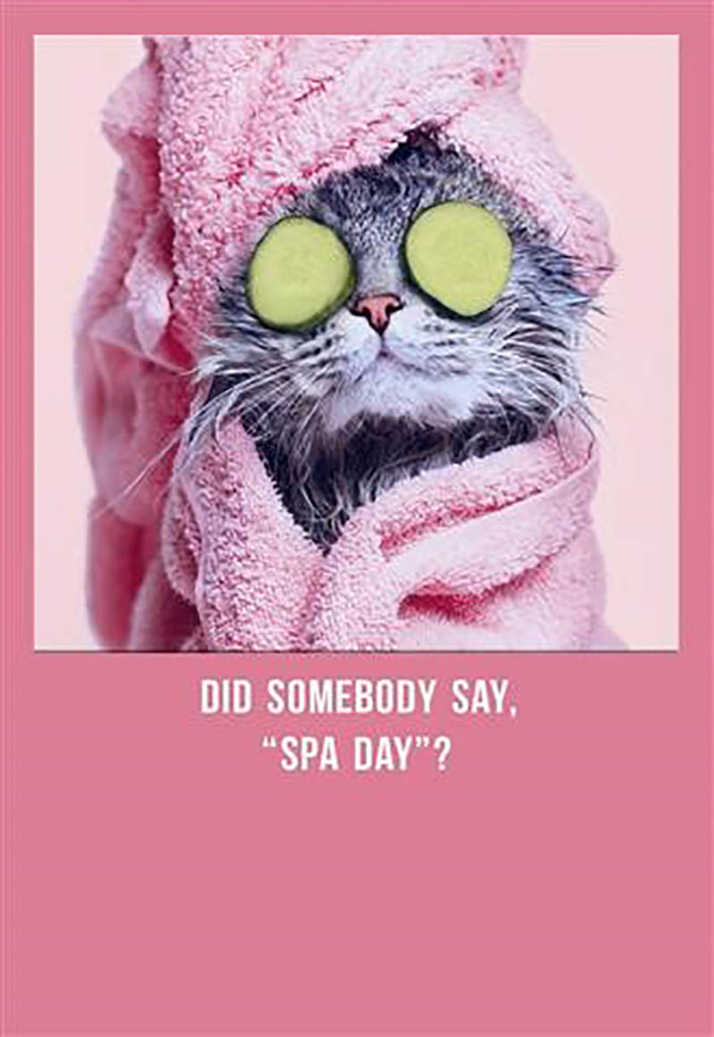 Mothers Day Card: Shoebox Humour Spa Day