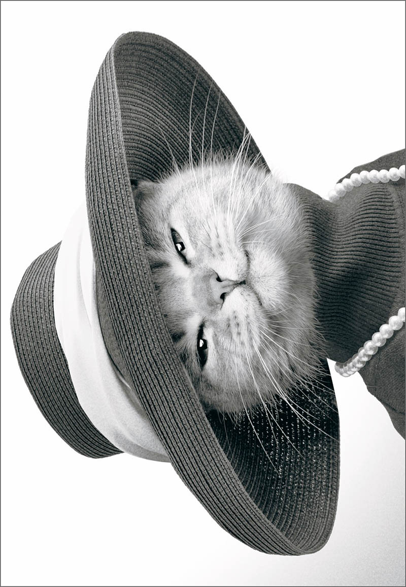 Mothers Day Card: Av Flawless Fabulous!